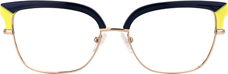 Tanai - Browline Blue Eyeglasses