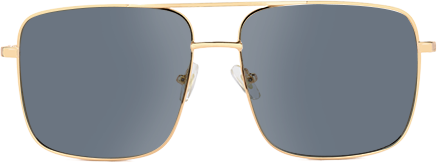 Reid - Aviator Gold Sunglasses